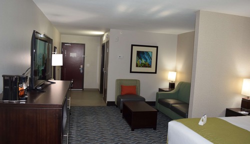 Suite, 1 King Bed with Sofa bed, Non Smoking, Refrigerator & Microwave (with Sofabed)