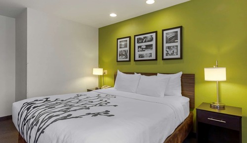 Room, 1 King Bed, Accessible, Non Smoking