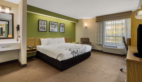 Standard Room, 1 King Bed, Non Smoking