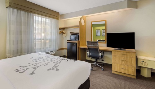 Room, 1 King Bed, Accessible, Non Smoking