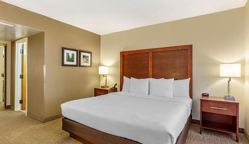 Suite, 1 King Bed, Non Smoking
