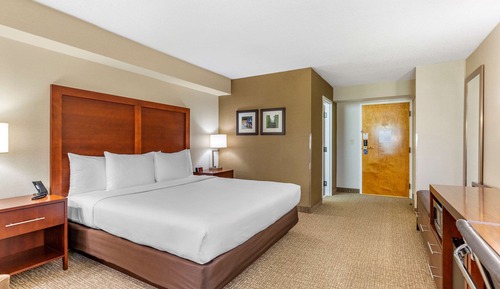 Standard Room, 1 King Bed, Non Smoking