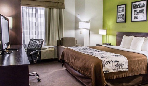 Room, 1 King Bed, Accessible, Non Smoking