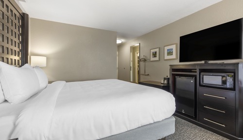 Room, 1 King Bed, Accessible, Non Smoking