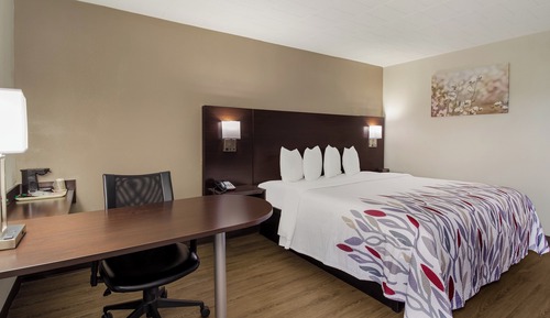 Superior Room, 1 King Bed, Non Smoking