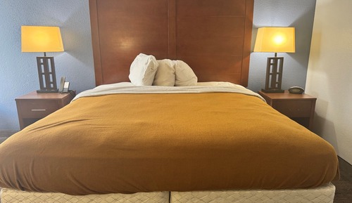 Room, 1 King Bed, Non Smoking