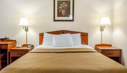 Standard Room, 1 Queen Bed, Non Smoking