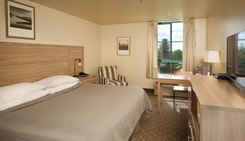 Business Room, 1 King Bed