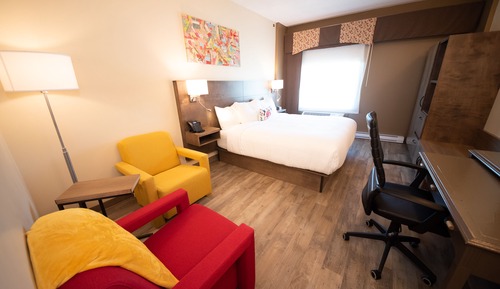 Room, 1 King Bed, Non Smoking
