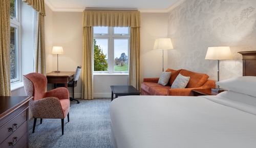 Superior Room, 1 King Bed (View)