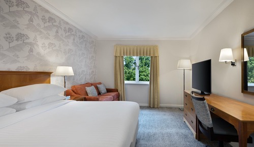 Deluxe Room, 1 King Bed