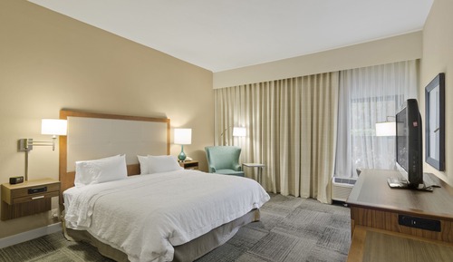 Room, 1 King Bed, Non Smoking