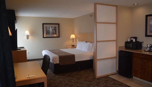 Suite, 1 King Bed, Non Smoking, Jetted Tub (with Single Sofabed)