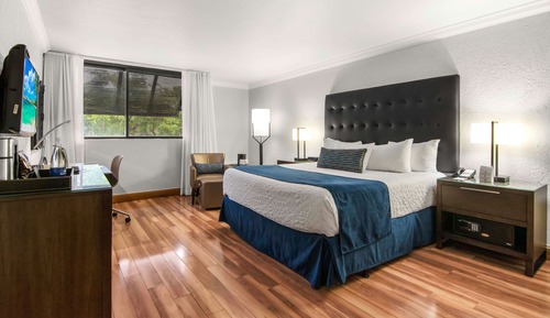  Deluxe King Bed