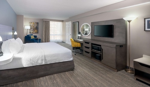 Modern King Accessible Room with Roll-In Shower