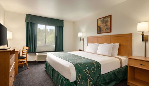 Room, 1 King Bed, Non Smoking