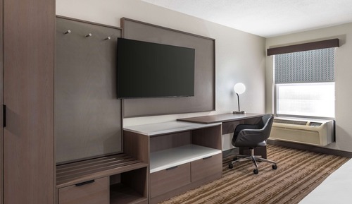 Standard Room, 1 King Bed, Accessible, Refrigerator & Microwave (with Sofabed)