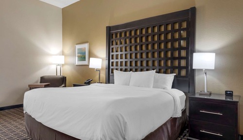 Room, 1 King Bed, Accessible, Non Smoking (Roll-In Shower)