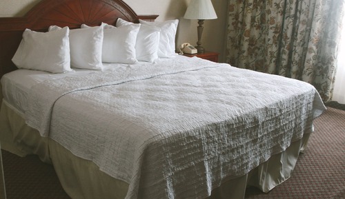 Standard Single Room, 1 King Bed, City View