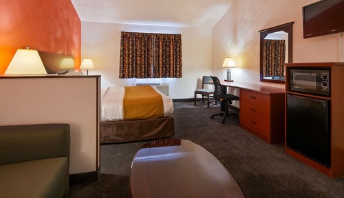 Standard Room, 1 King Bed, Non Smoking, Refrigerator & Microwave (with Single Sofabed)