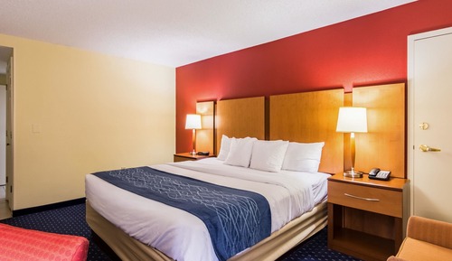 Standard Room, 1 King Bed, Non Smoking