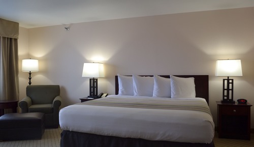 Room, 1 King Bed, Non Smoking