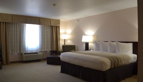 Room, 1 King Bed, Non Smoking (Walkin Shower)