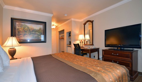 Standard Room, 1 King Bed, Non Smoking, Refrigerator & Microwave