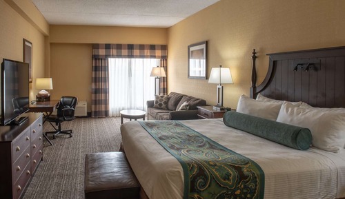 Room, 1 King Bed with Sofa bed, Accessible (Hearing Accessible)