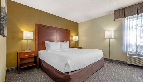 Standard Room, 1 King Bed, Accessible, Non Smoking