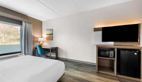 Suite, 1 King Bed with Sofa bed, Accessible, Non Smoking