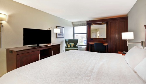 Room, 1 King Bed, Non Smoking, Refrigerator & Microwave