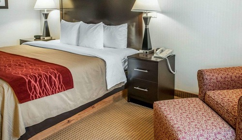 Standard Room, 1 King Bed, Non Smoking