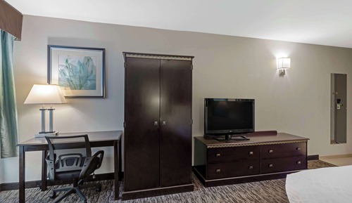 Standard Room, 1 King Bed, Non Smoking, Refrigerator & Microwave