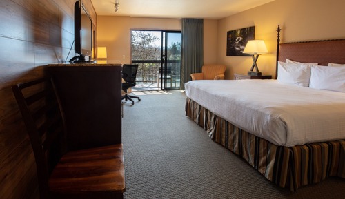 Dog Friendly King Room with Riverview