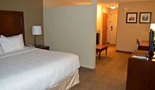 Junior Suite, 1 King Bed, Non Smoking (One-Bedroom)