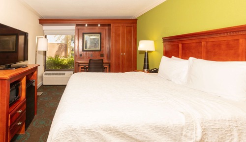 Room, 1 King Bed, Accessible, Non Smoking