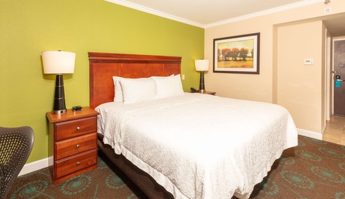 Room, 1 King Bed, Accessible, Non Smoking