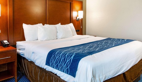 Standard Room, 1 King Bed, Non Smoking