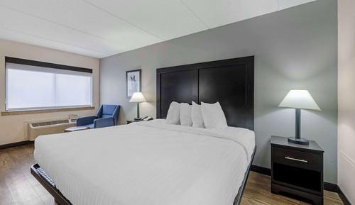 Standard Room, 1 King Bed, Non Smoking, Microwave