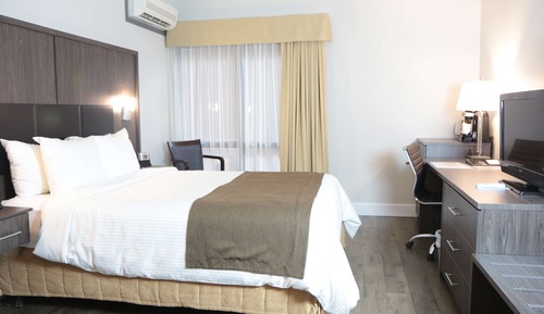 Standard Room, 1 Queen Bed, Non Smoking, Refrigerator (Shower only)