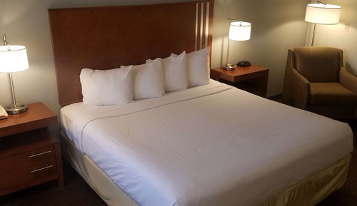Standard Room, 1 King Bed, Non Smoking, Refrigerator & Microwave (Larger Room)