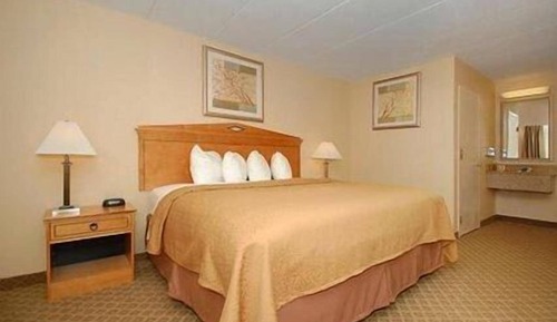 Standard Room, 1 King Bed, Non Smoking