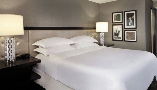 Room, 1 King Bed (Mobility/Hearing Access, Roll-In Shwr)