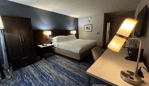 Standard Room, 1 King Bed, Accessible, Refrigerator