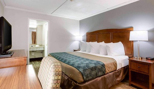 Suite, 1 King Bed, Non Smoking (Efficiency, Pet-friendly)
