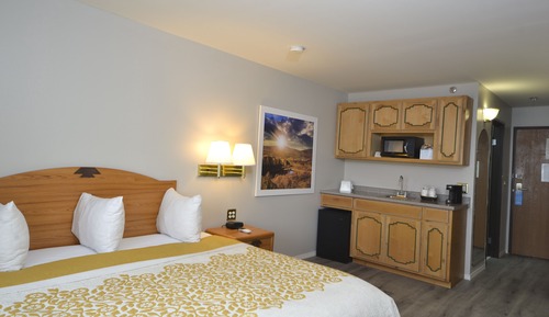 Room, 1 King Bed, Non Smoking
