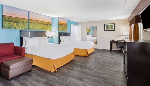 Studio, 2 Double Beds, Non Smoking