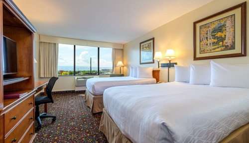 Standard Room, 2 Double Beds