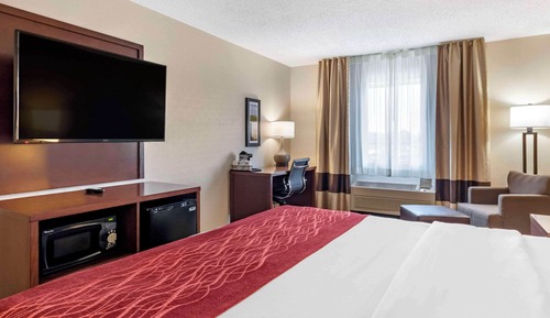 Room, 1 Queen Bed, Non Smoking